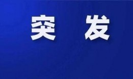 裁员最新爆料新闻报道,最新爆料揭示企业大规模减员真相