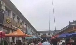 沈阳街道爆料事件最新消息,最新进展及影响揭秘